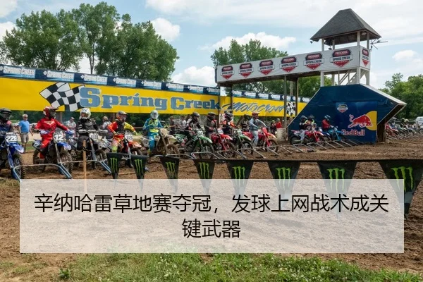 辛纳哈雷草地赛夺冠，发球上网战术成关键武器